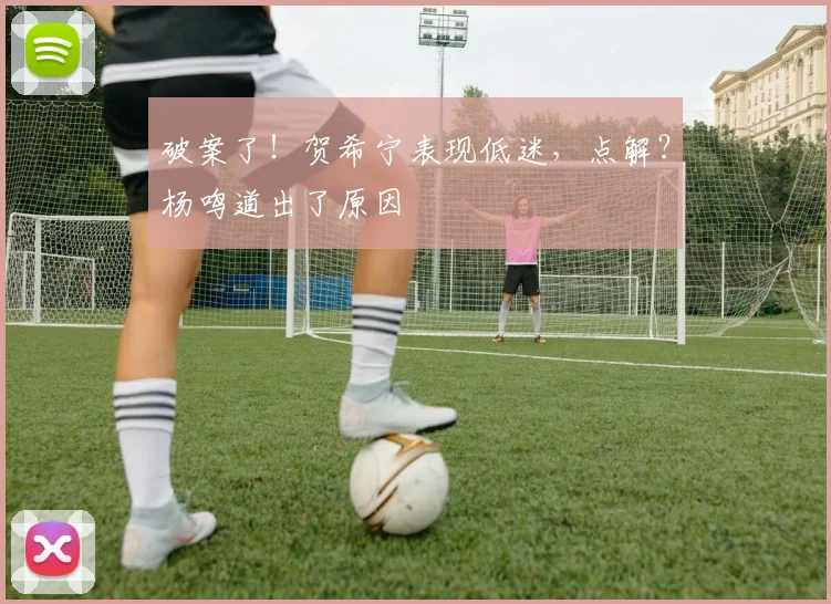 破案了!贺希宁表现低迷,点解?杨鸣道出了原因