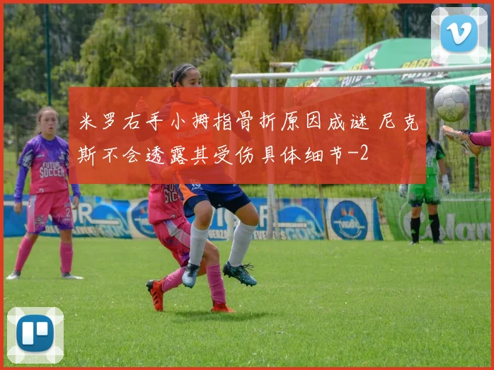 米罗右手小拇指骨折原因成谜 尼克斯不会透露其受伤具体细节