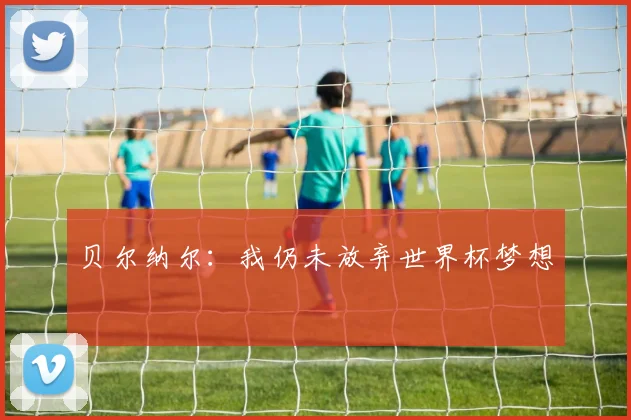 贝尔纳尔：我仍未放弃世界杯梦想